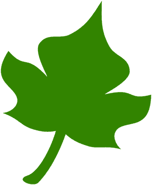 Ivy - Yaprak Icon Png, Transparent Png PNG with transparent background