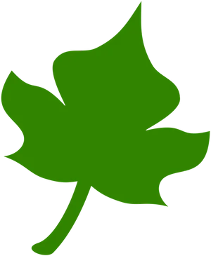 Green Ivy Leaf Graphic PNG Image