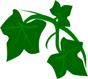 Clipart At Getdrawings Com - Poison Ivy Clip Art, HD Png Download PNG with transparent background
