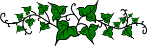 File Lierre Wikimedia Commons - Ivy Clipart, HD Png Download PNG with transparent background