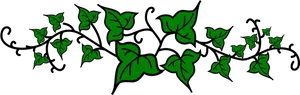 Green Ivy Vine Illustration PNG Image