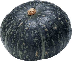 Pumpkin - Japanese Pumpkin Png, Transparent Png PNG