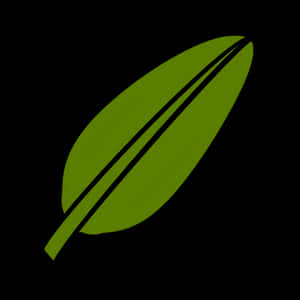 Green Leaf Black Background PNG image with transparent background