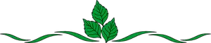 Green Leaf Border Design PNG Image