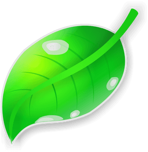 Transparent Clipart For Coreldraw X7 - Background Gambar Daun Png, Png Download PNG image with transparent background