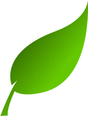 Green Leaf Graphic PNG Image