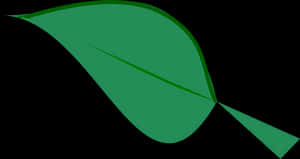 Green Leaf Graphicon Black Background PNG image with transparent background