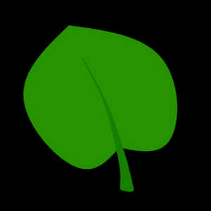 Green Leaf Graphicon Black Background PNG image with transparent background