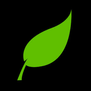 Green Leaf Iconon Black Background PNG image with transparent background