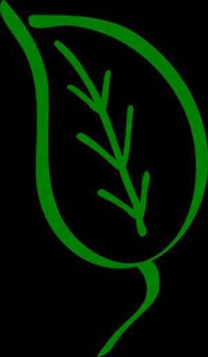 Green Leaf Silhouette Graphic PNG image with transparent background
