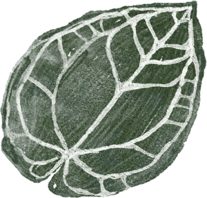 Animasi Daun Kuping Gajah, HD Png Download PNG image with transparent background