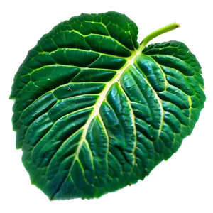 Green Leaf Texture Png Nqg PNG Image