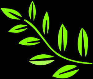 Green Leaf Vector Art PNG image with transparent background