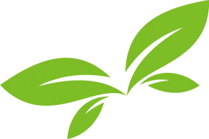 Green Leaf Vector Art PNG Image