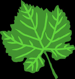 Green Leaf Vector Illustration PNG image with transparent background