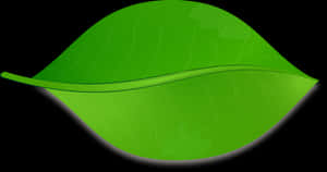 Green Leaf Vector Illustration PNG image with transparent background