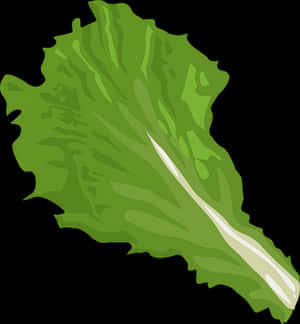 Green Leaf Vector Illustration PNG image with transparent background