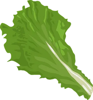 Green Leaf Vector Illustration PNG Image