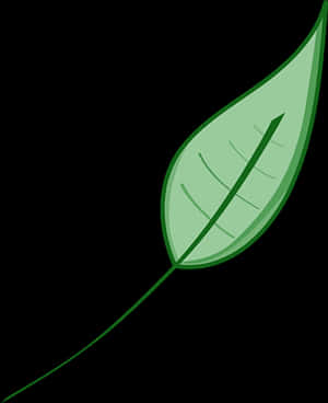 Green Leaf Vector Illustration PNG image with transparent background