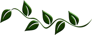 Green Leaf Vine Border PNG Image