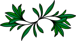 Design Colour Big Image - Clip Art Design Colour, HD Png Download PNG with transparent background