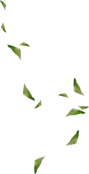 Green Leaves Against Black Background PNG Image