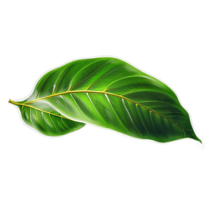 Green Leaves PNG dcn1 PNG image with transparent background
