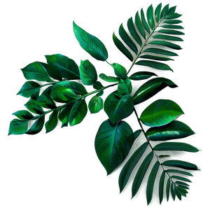 Green Leaves PNG yvi PNG image with transparent background