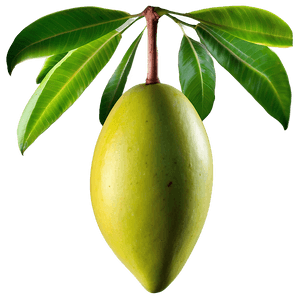 Green Mango PNG 05232024 PNG