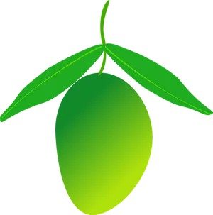 Green Mango Vector Illustration PNG Image