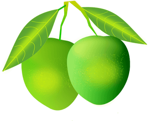 Green Mangoes With Leaves PNG with transparent background