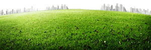 Meadow 5200*3458 Transprent Png Free Download , Png, Transparent Png PNG with transparent background