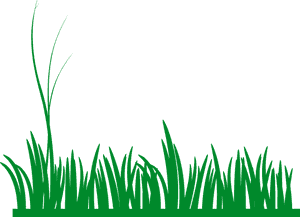 Summer Meadow PNG Image PNG image with transparent background