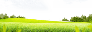 Meadow Greenscape PNG HD PNG with transparent background