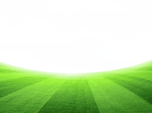 Spring Meadow Transparent Background PNG image with transparent background