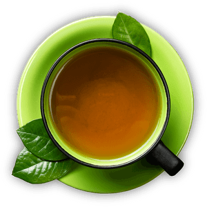 Green Mint Tea Cup Top View PNG with transparent background