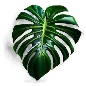 Green Monstera Leaf Png Mll85 PNG Image