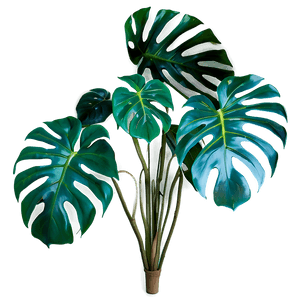 Green Monstera Plant PNG axb48 PNG image with transparent background