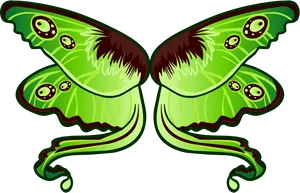 Green Moth Illustration PNG Image