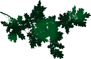 Green Oak Branch Silhouette PNG image with transparent background