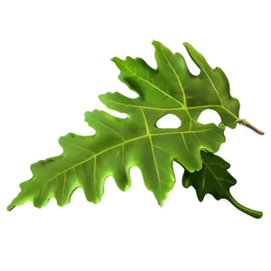 Green Oak Leaf Graphic Png Uew92 PNG Image