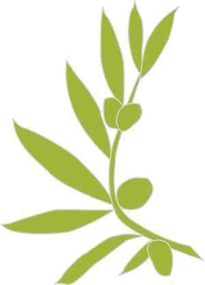 Olive Branch Vector Png, Transparent Png PNG with transparent background