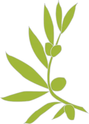 Green Olive Branch Graphic PNG Image