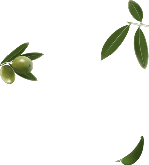 Olive Oil Parallax, HD Png Download PNG with transparent background
