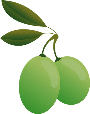 Olive Transparent Background, HD Png Download PNG with transparent background