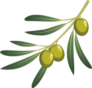 Olive Oil Olive Branch - Olives Branch Png, Transparent Png PNG with transparent background