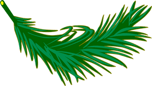 Palm Frond Clip Arts - Palm Leaves Clip Art, HD Png Download PNG image with transparent background