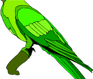 Parrot Clipart Green Parrot - Parrot PNG image with transparent background
