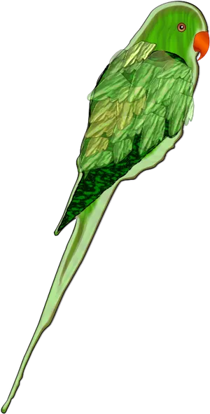 Green Parrot Illustration.png PNG Image