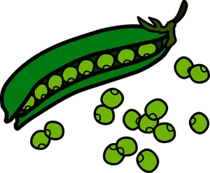 Green Peas Pod Illustration PNG Image